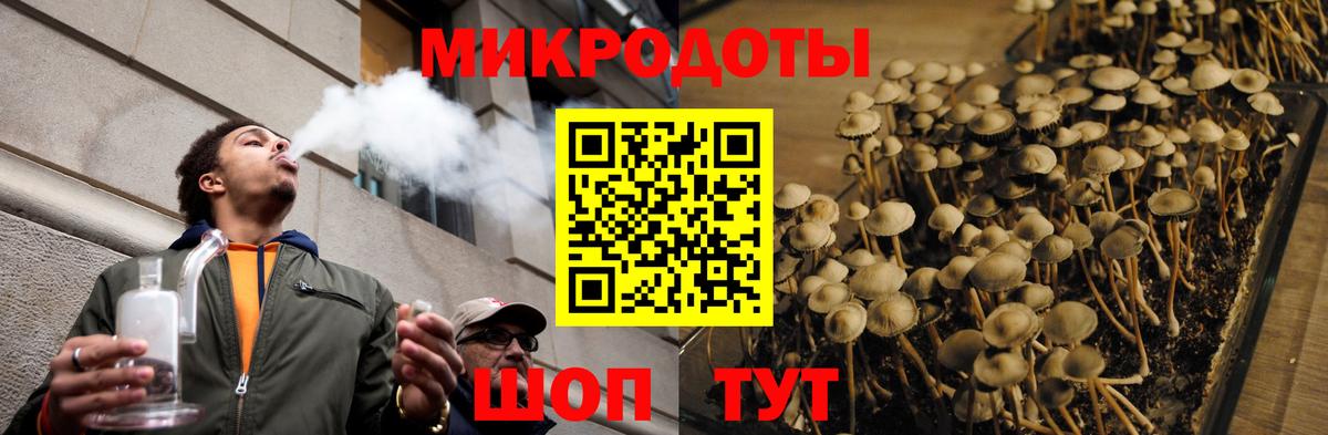 Галлюциногенные грибы мухоморы Можга