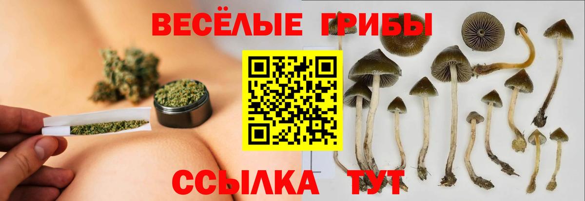 Можга  купить наркоту  Вход с VPN  Галлюциногенные грибы GOLDEN TEACHER  Псилоцибиновые грибы мицелий 